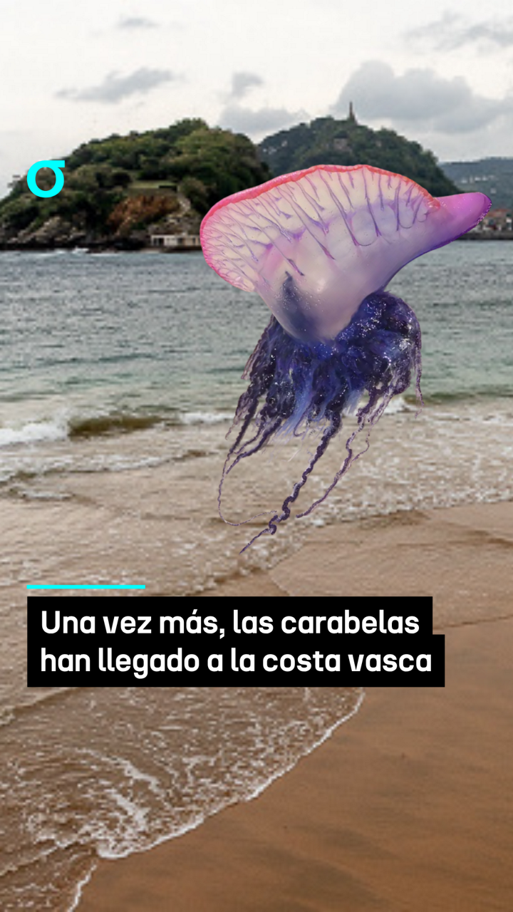 video feed poster