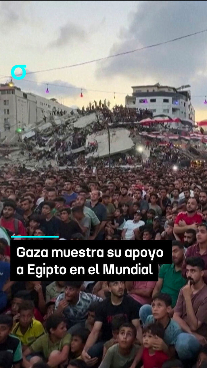 video feed poster