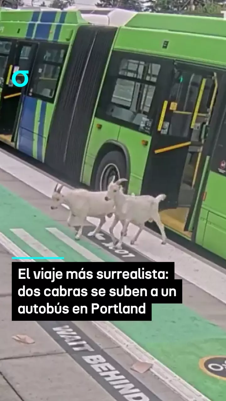 video feed poster