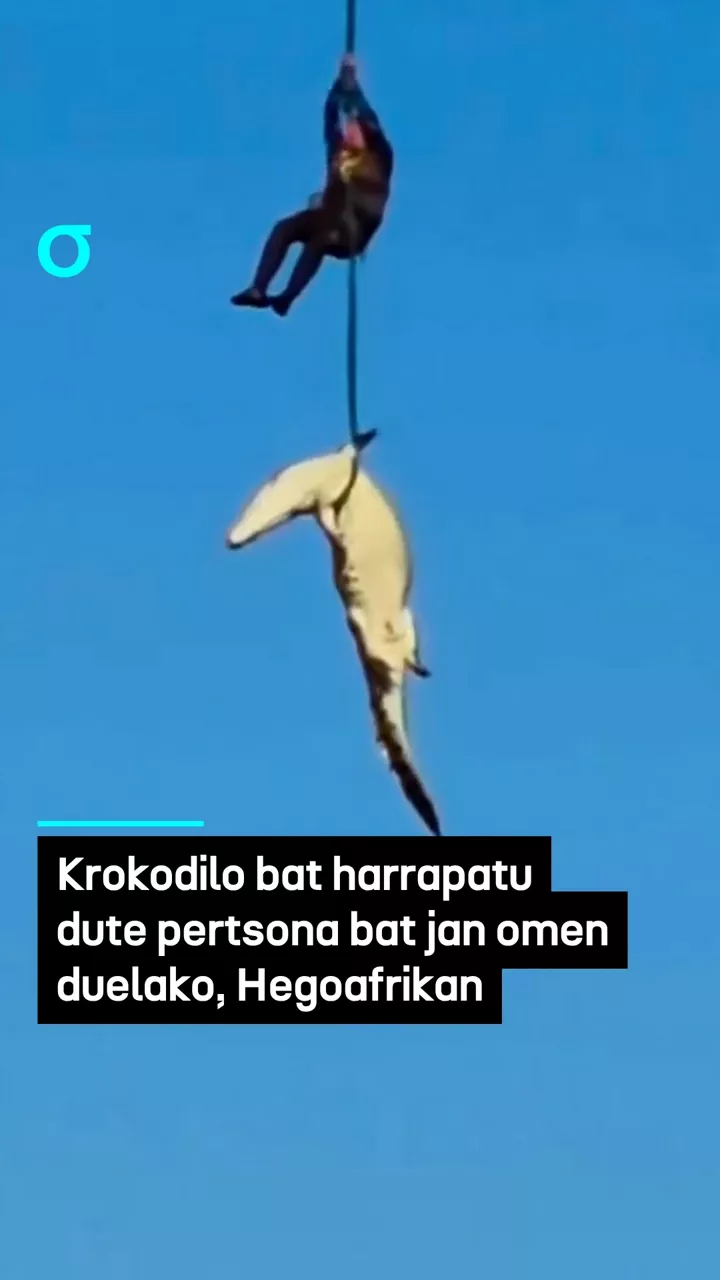 video feed poster