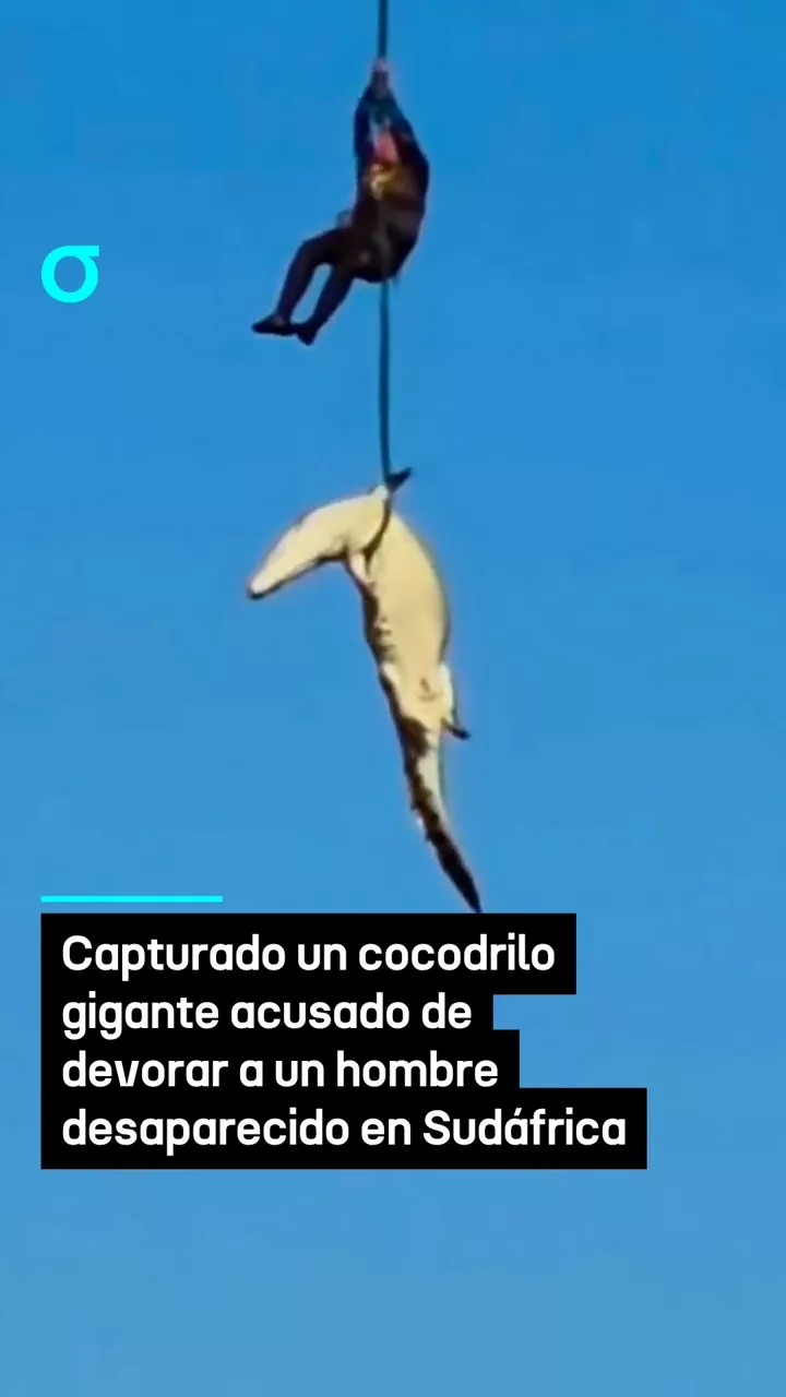 video feed poster