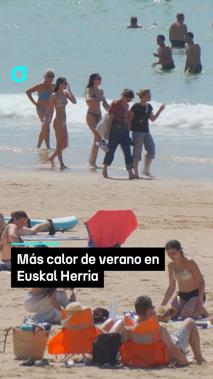video feed poster
