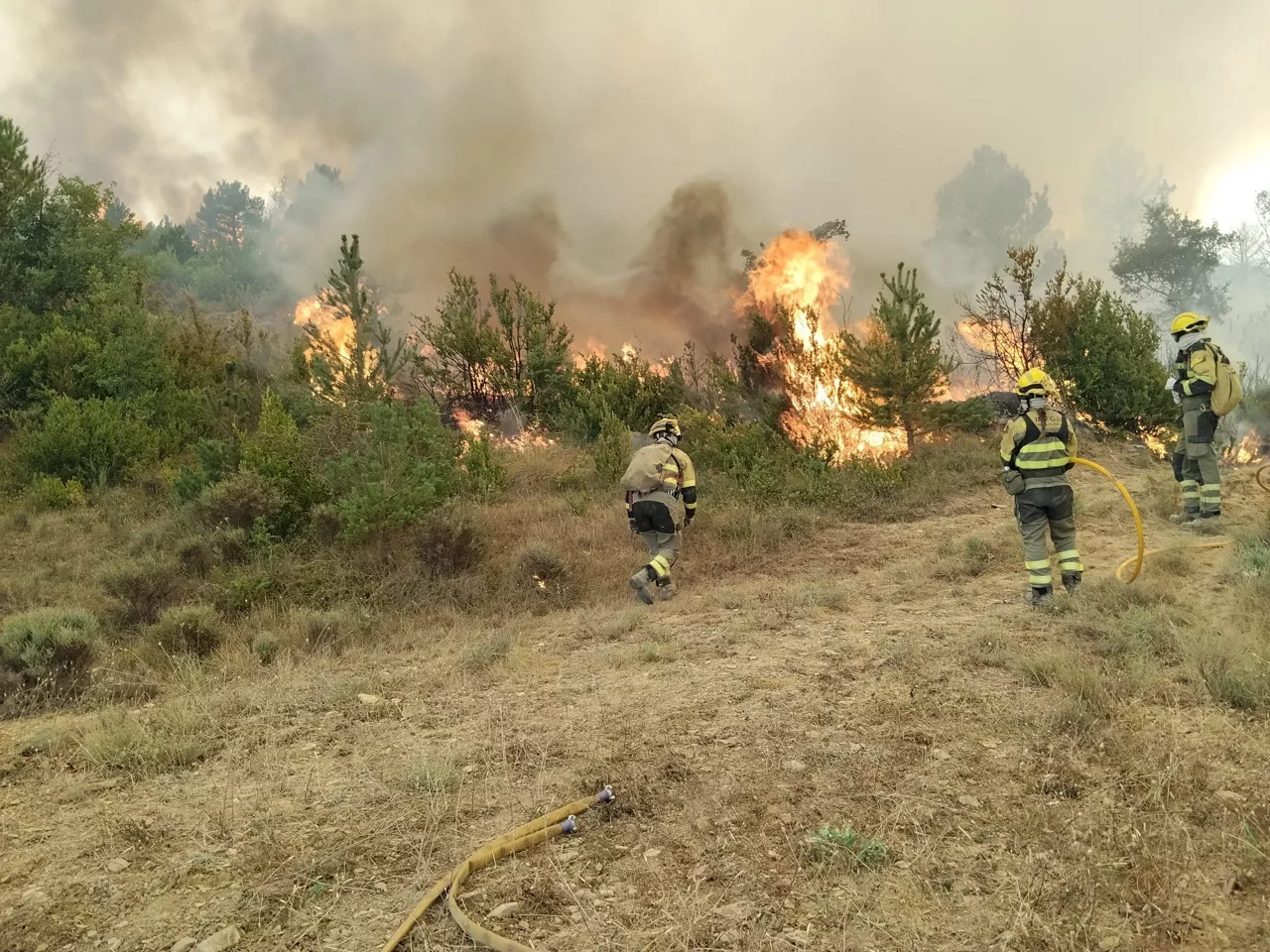 Trabajos de extinción del incendio forestal de Las Peñas de Riglos (Huesca).



REMITIDA / HANDOUT por INFOAR

Fotografía remitida a medios de comunicación exclusivamente para ilustrar la noticia a la que hace referencia la imagen, y citando la procedencia de la imagen en la firma

14/8/2026