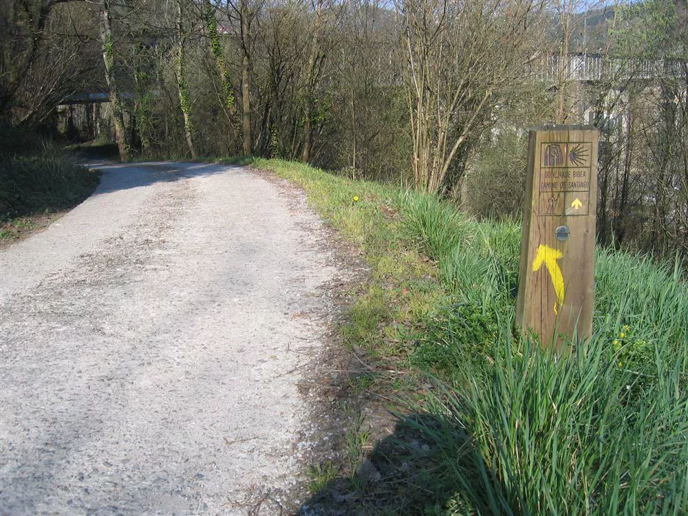Santiago Bidea Camino Santiago