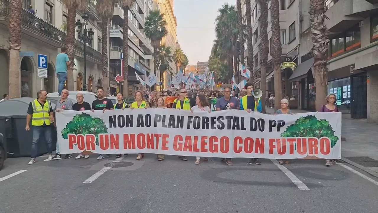 Espainian baso-suteak izaten ari dira udako protagonistak. Hori dela eta, manifestazioak burutu dira Galizian eta Ponferradan, lurraldeko egoerak salatzeko eta tokian tokiko gobernuaren dimisioa eskatzeko.