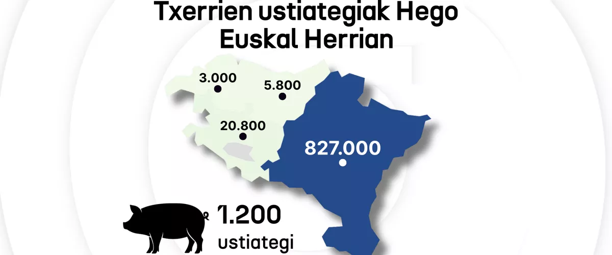 Copia de DLS plantila 16:9 - 2