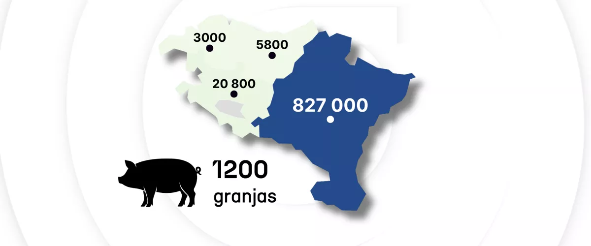 Copia de DLS plantila 16:9 - 1
