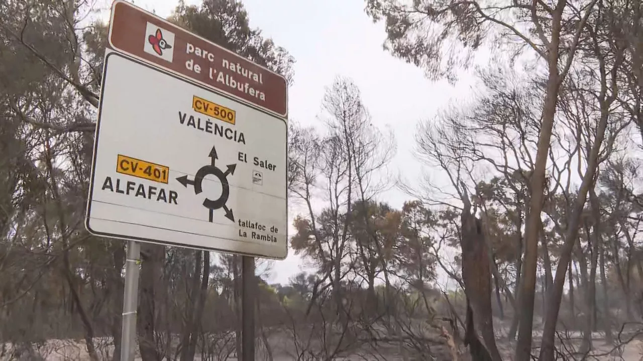 Valentziako sutea El Saler argazkia