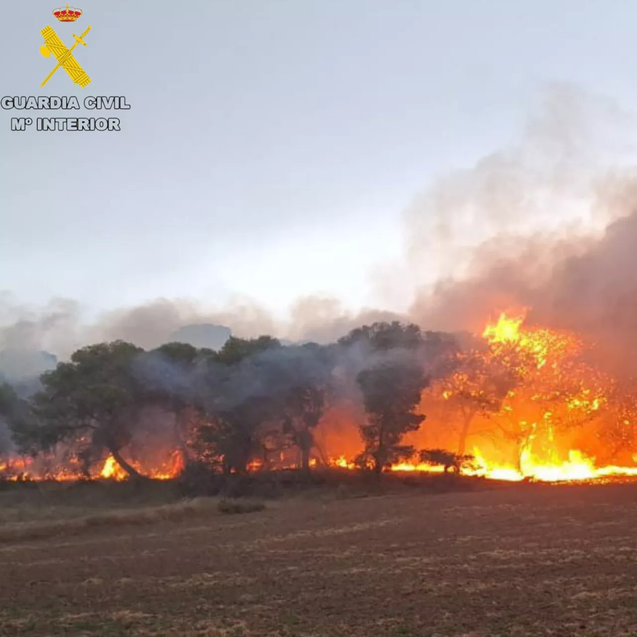 Controlado un incendio forestal junto al embalse El Ferial, en las Bardenas Reales