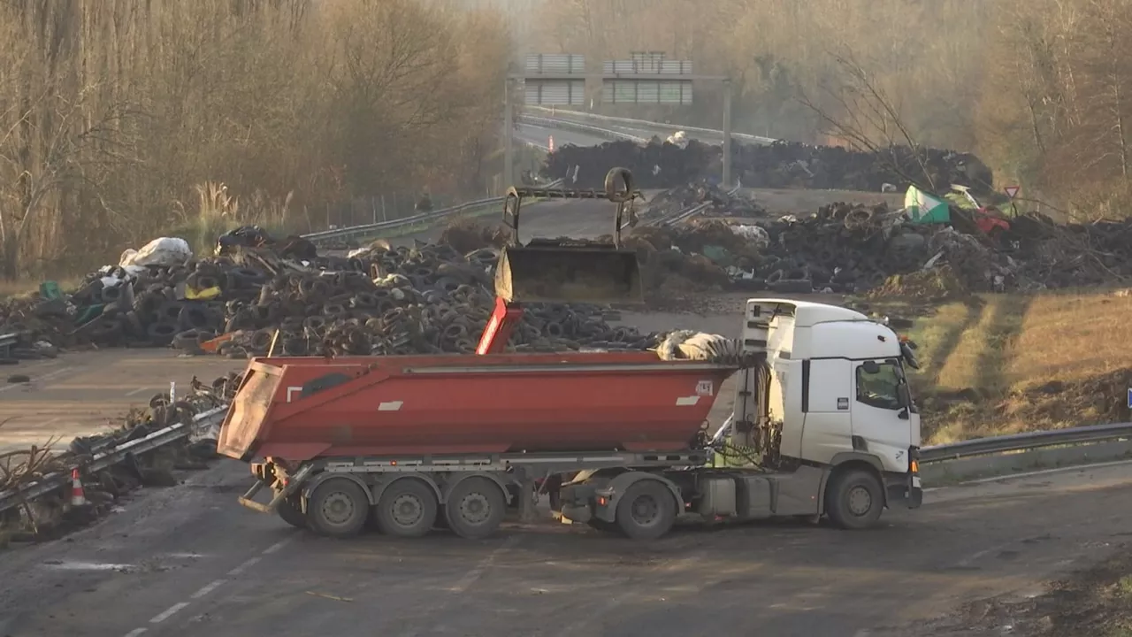 Laborariek bi aste eman dituzte protestan dermatosi nodularraren kontra eta zabor asko pilatu da autobidean. A64ko autobideko hondakinak garbitzen