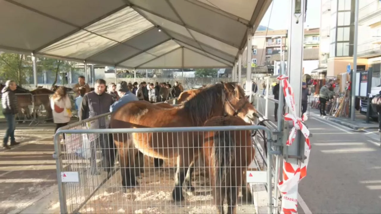 Abadiñoko San Blas azoka