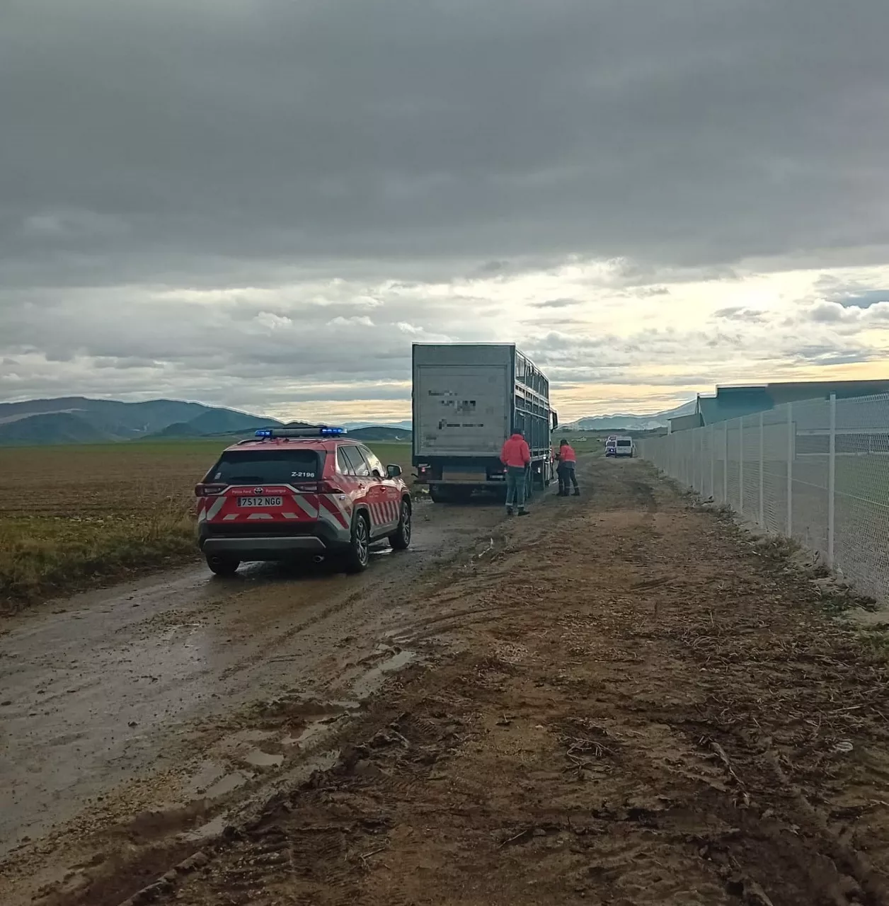 Abarzuza accidente laboral  lan-istripua