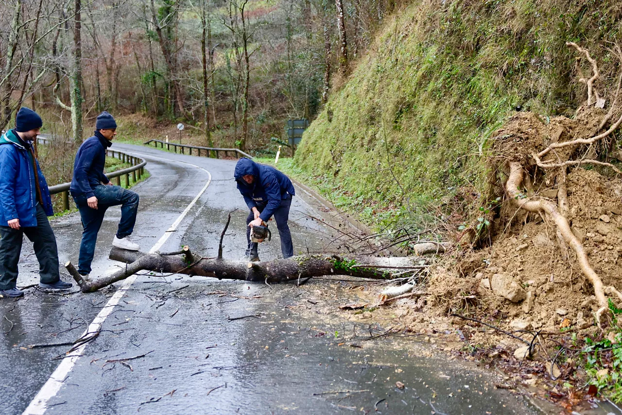 haizea zuhaitzak aia