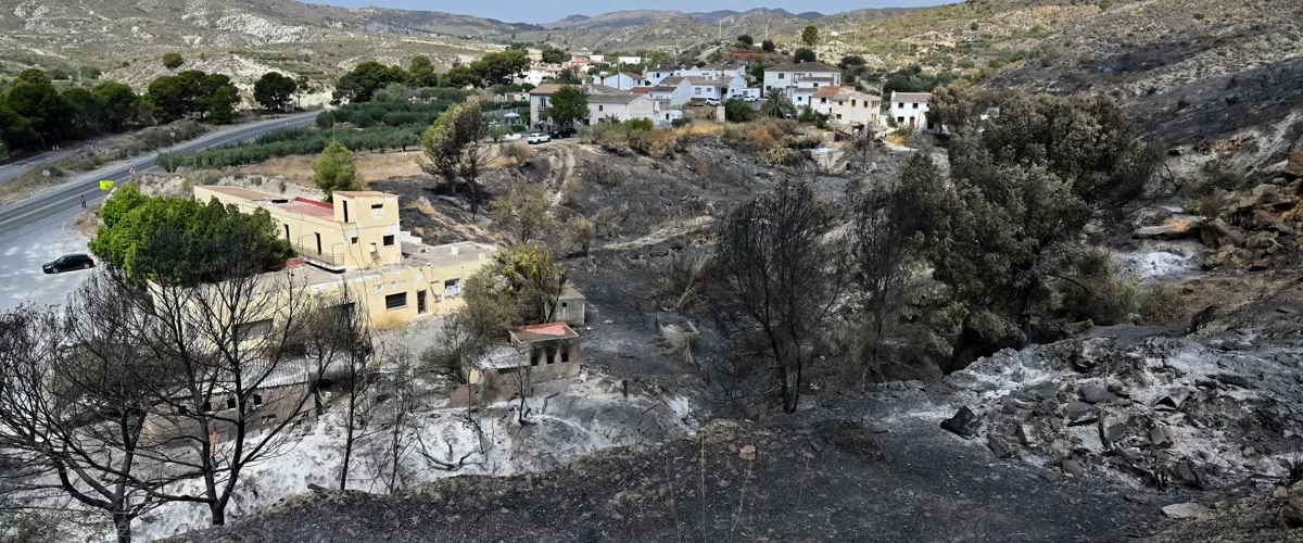 LOS GALLARDOS (ALMERÍA) 12/07/2026.- Tereno calcinado junto al restaurante Anita en Los Gallardos, Almería, donde parece ser se produjo el inicio del incendio. El dispositivo del Plan Infoca ha dado por estabilizado a las 11:00 horas de este domingo el incendio forestal declarado en Los Gallardos (Almería), que ha calcinado 7.000 hectáreas con un perímetro de más de 40 kilómetros, lo que permite desescalar la emergencia y autorizar el regreso a sus hogares de las 1.000 personas que continuaban desalojadas. EFE/ Carlos Barba
