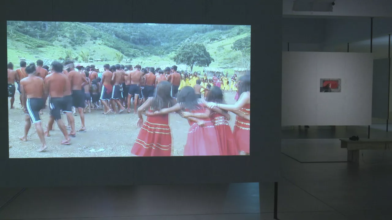 "Zirkulu batetik begirada begiraden zirkulu batean" erakusketa Artiumen