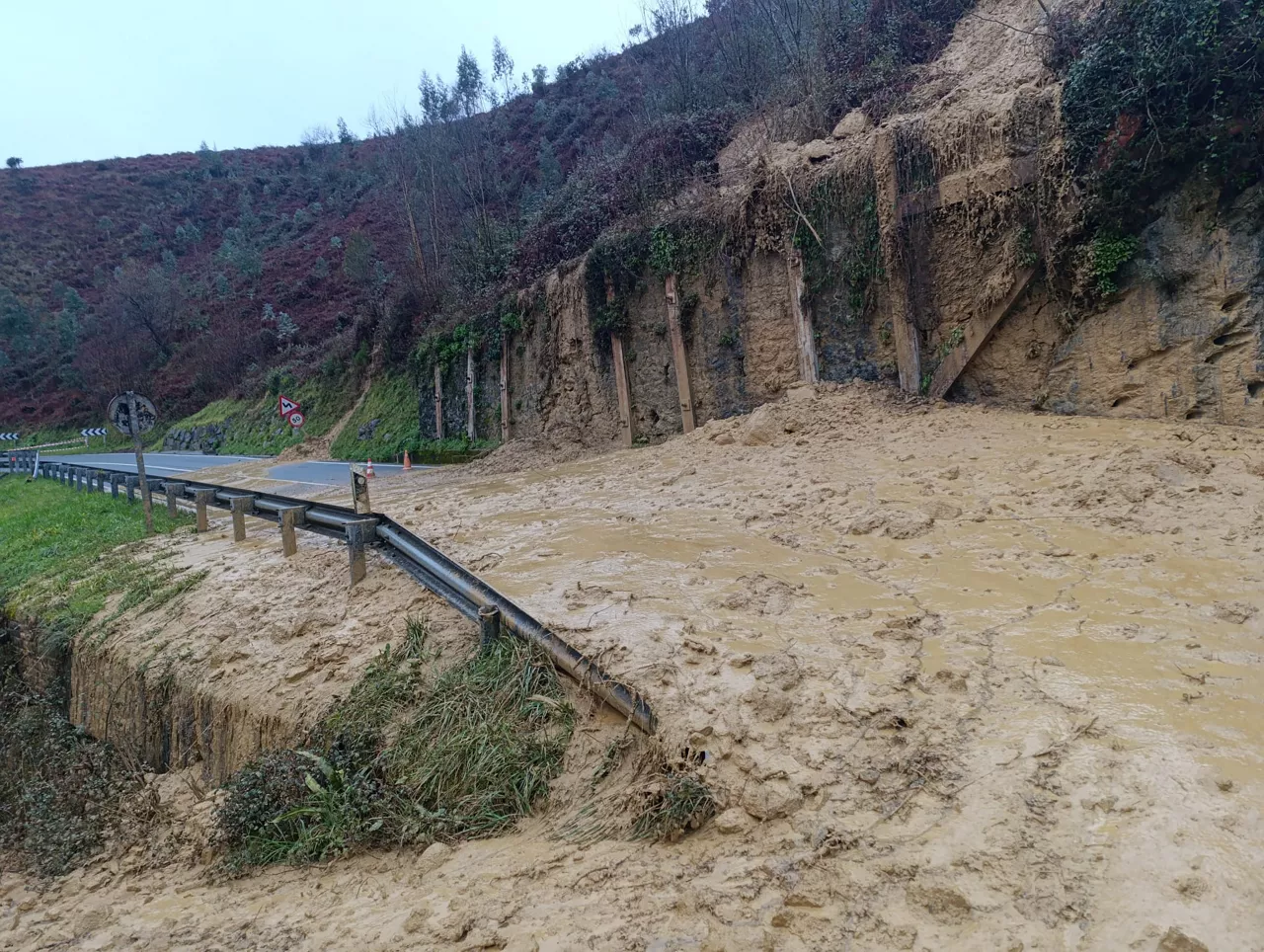 Desprendimiento en Aulestia