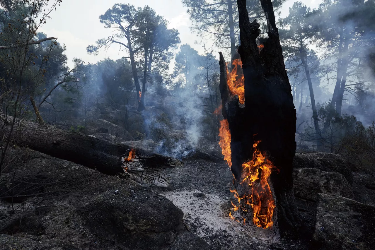BURGOHONDO (ÁVILA), 25/07/2026.- Zonas quemadas en los alrededores de el embalse de El Burguillo por el incendio que se originó en Burgohondo (Ávila). El incendio que se mantiene activo en la provincia de Ávila ha quemado entre 13.000 y 15.000 hectáreas, según los últimos datos facilitados este sábado por fuentes del Ministerio del Interior. La cantidad de personas evacuadas como consecuencia del fuego se han calculado en 5.150 de los municipios de Burgohondo, El Hoyo de Pinares, Villanueva de Ávila y La Atalaya del Tiemblo. Además, 8.635 personas se encuentran confinadas en Cebreros, Navaluenga y El Tiemblo. EFE/Raúl Sanchidrián
