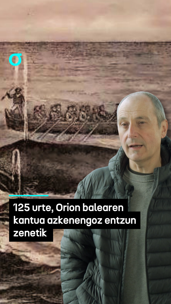 125 urte, Orion balearen kantua azkenengoz entzun zenetik 