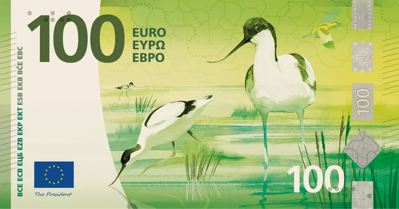 This image is part of design proposal H, created by Atelier Goppel-Toperngpong, and has been shortlisted by the ECB as a potential design for the third euro banknote series. An independent jury selected it as part of a design contest run by the ECB from Summer 2025 to Summer 2026, during which designers across the EU were invited to create design proposals for the themes "European Culture" or "Rivers and birds".

Copyright: European Central Bank 2026
 
Conditions of use
The images depict design proposals for possible future euro banknotes. They do not depict issued euro banknotes and must not be presented as final or approved future designs.
The images are protected by intellectual property rights and are made available for information, editorial, educational and news-reporting purposes only.
Unless expressly authorised in writing by the European Central Bank, the images may not be:
used for commercial, advertising, promotional or merchandising purposes, including on clothing, products, packaging or other goods or services;
altered, adapted, incorporated into other designs or used to create derivative works;
used in a manner suggesting endorsement, sponsorship or association by the European Central Bank or the Eurosystem;
used in a misleading, deceptive, unlawful or offensive context; or
used in any manner that may adversely affect the reputation, interests or rig
