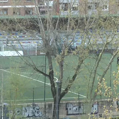 Una árbitra menor de edad denuncia insultos y amenazas en un partido en Basauri