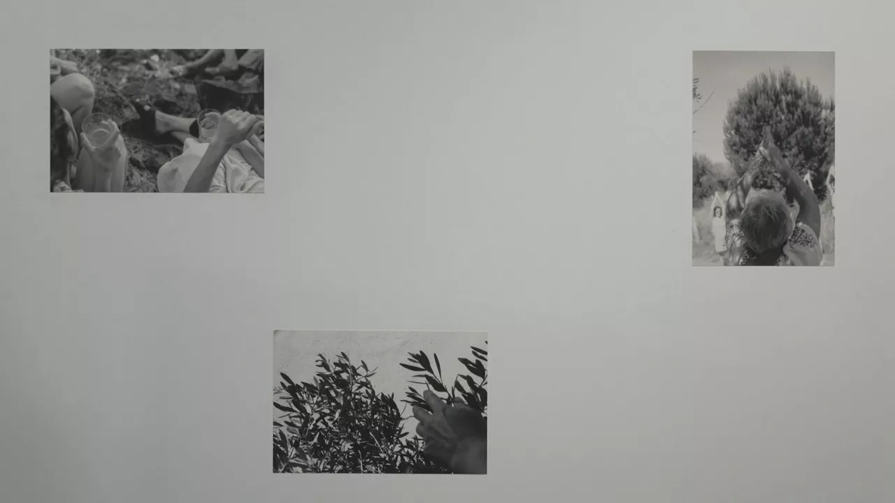 Bitartekaritza Partekatuak erakusketa