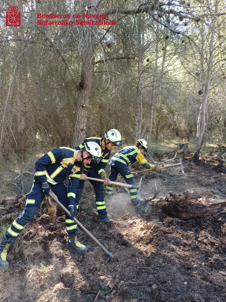 Bomberos trabajando sobre el terreno para extinguir el incendio forestal de Carcastillo.



REMITIDA / HANDOUT por BOMBEROS DE NAVARRA

Fotografía remitida a medios de comunicación exclusivamente para ilustrar la noticia a la que hace referencia la imagen, y citando la procedencia de la imagen en la firma

12/9/2026