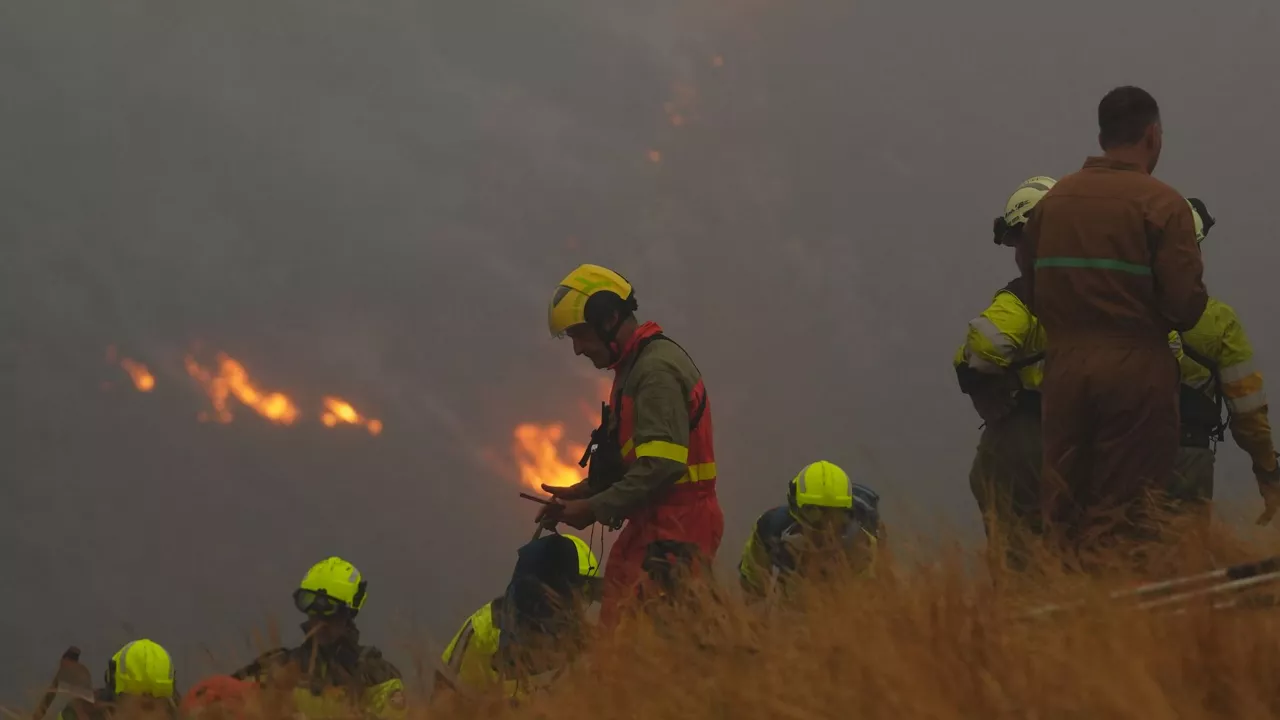 Un total de 58 bomberos de la Comunidad Autónoma Vasca (CAV) se van a desplazar hasta Castilla y León para ayudar en el control de incendios forestales, tras la petición de la Junta al Gobierno Vasco. Desde Navarra también se han trasladado 24 profesionales a Asturias.
