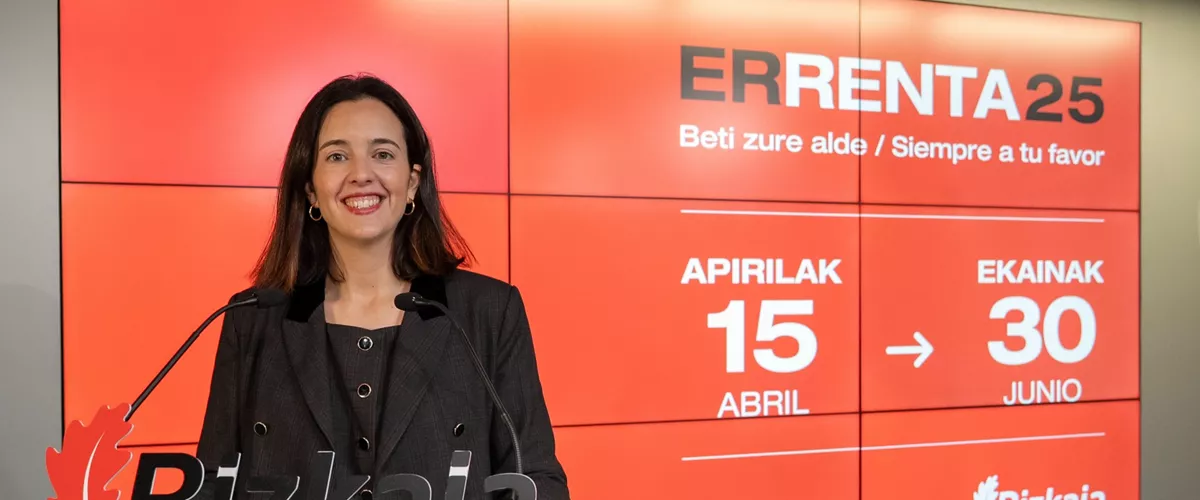 campaña declaración renta Bizkaia