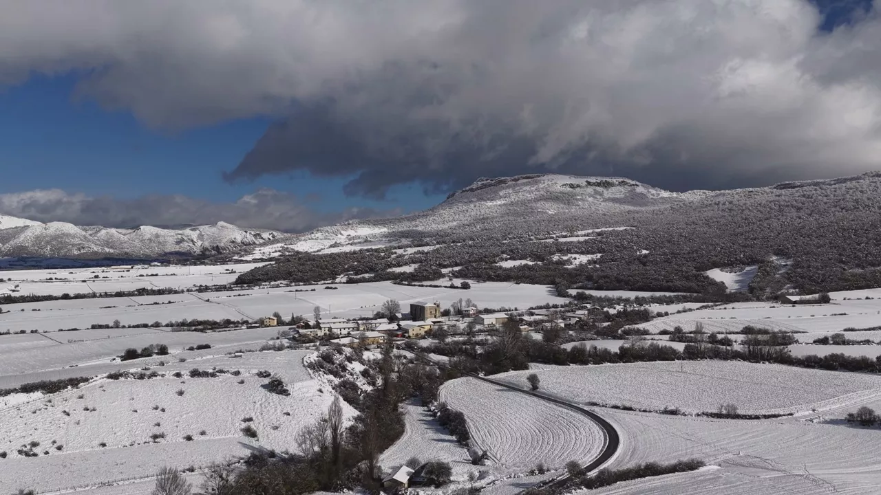 Dron elurra