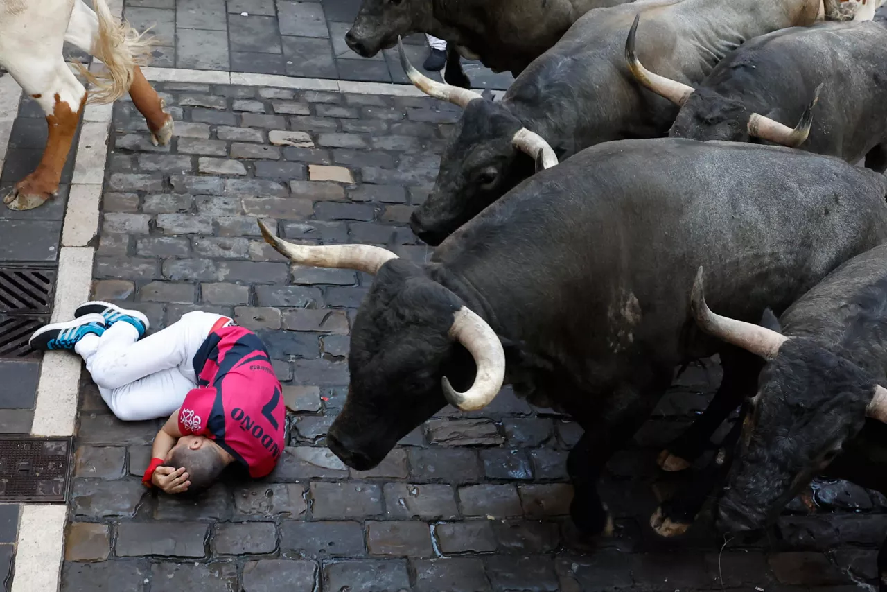 PAMPLONA, 11/07/2026.- Un mozo se echa al suelo al paso de los toros de la ganadería de José Escolar Gil en la curva de Mercaderes durante el quinto encierro de los Sanfermines 2026 con este sábado en Pamplona. EFE/Jesús Diges
