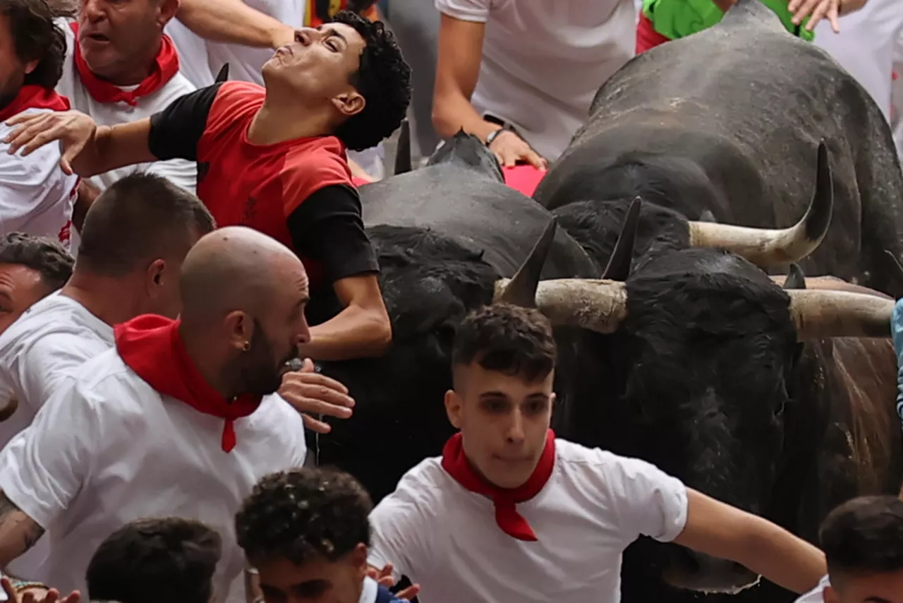 PAMPLONA, 13/07/2026.- Un mozo es alcanzado por uno de los toros de la ganadería sevillana de Miura a su paso por el tramo final que desemboca en el callejón durante el séptimo encierro de los Sanfermines 2026, este lunes en Pamplona. EFE/J.P. Urdiroz
