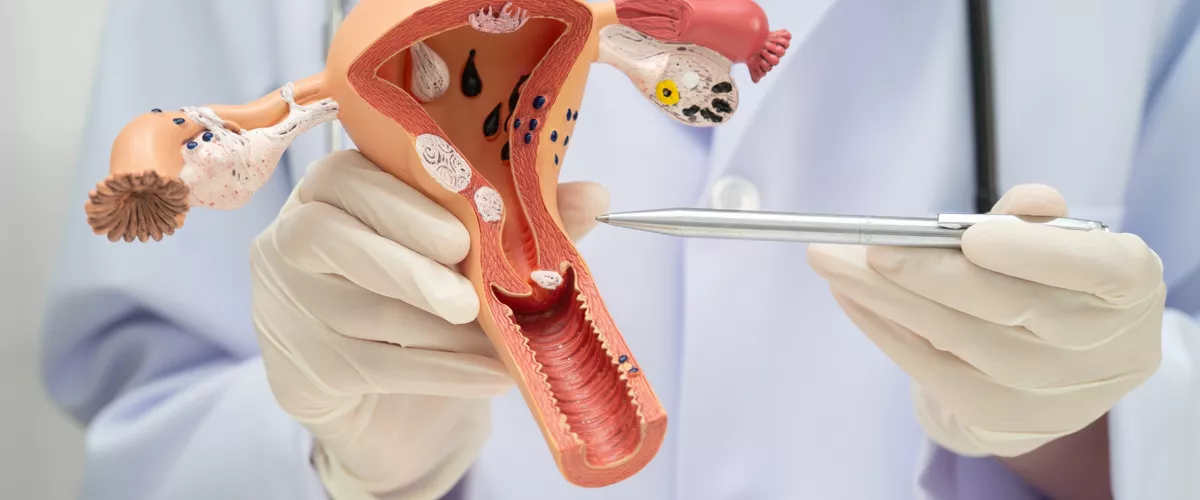 Terapia Hormonal de la Menopausia (THM): ¿segura y adecuada para todas las mujeres?
¿Aumenta el riesgo de cáncer de mama? ¿Cuándo es aconsejable empezar a tomarla? Resolvemos estas y más dudas con la ginecóloga de Osakidetza Virginia Canales. 
