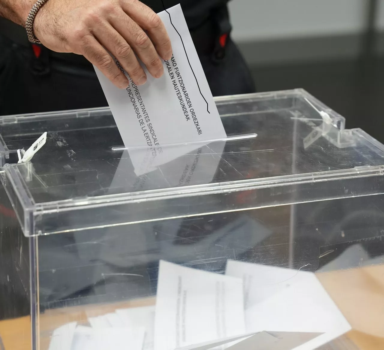 Ertzaintzaren hauteskunde sindikalak