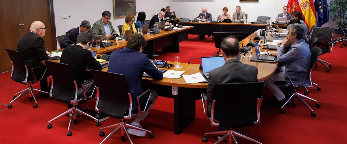 Nafarroa parlamentua osasun batzordea maria chivite