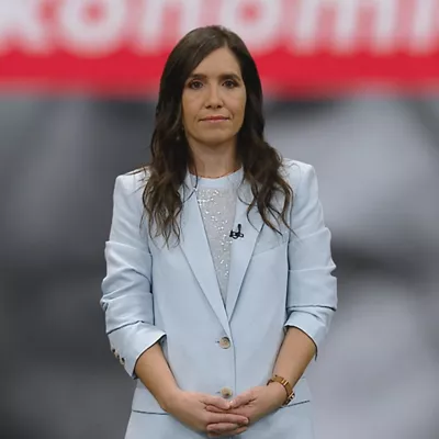 Honakoak izan dira ekonomia arloko lerroburu nagusiak aurten