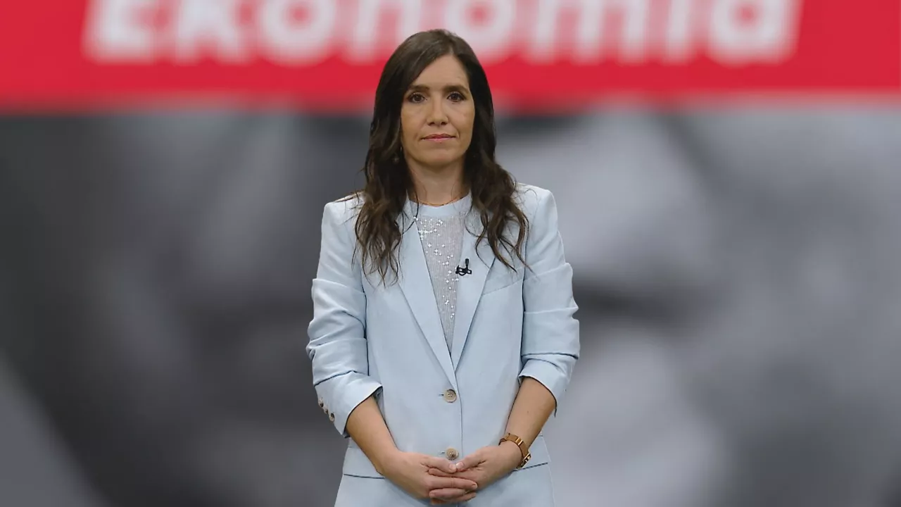 Honakoak izan dira ekonomia arloko lerroburu nagusiak aurten