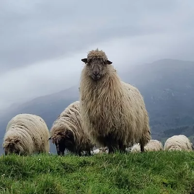 euria-negua-eguraldia-natura-hotza