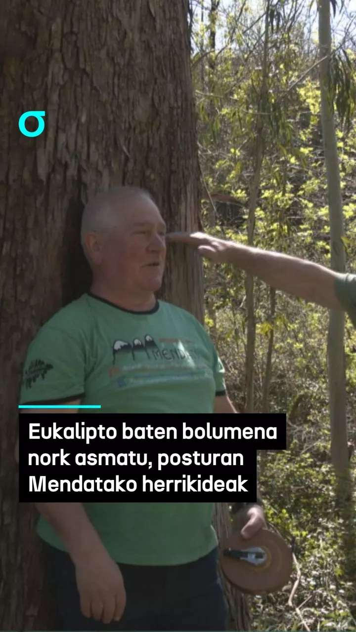 Eukalipto baten bolumena nork asmatu, posturan Mendatako herrikideak