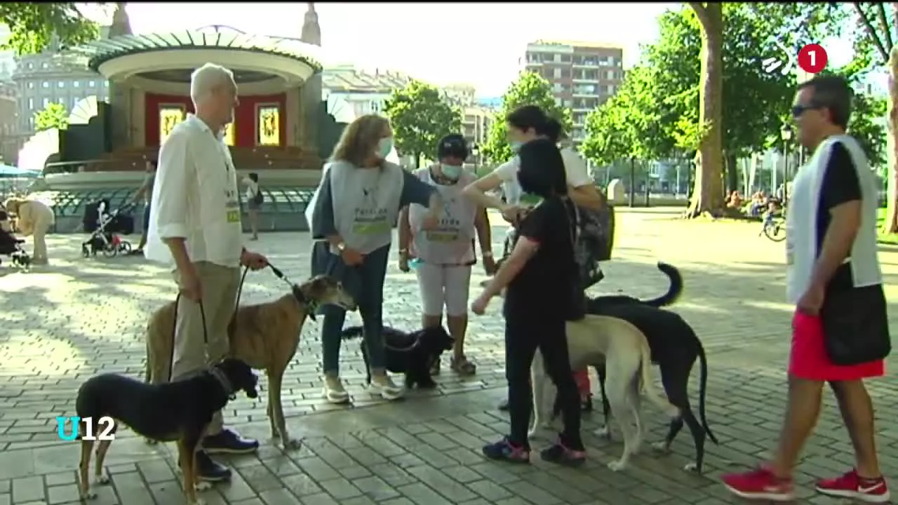 PACMA alderdiak justizia soziala, ingurumenaren zaintza eta animalien eskubideen defentsa ditu helburu.