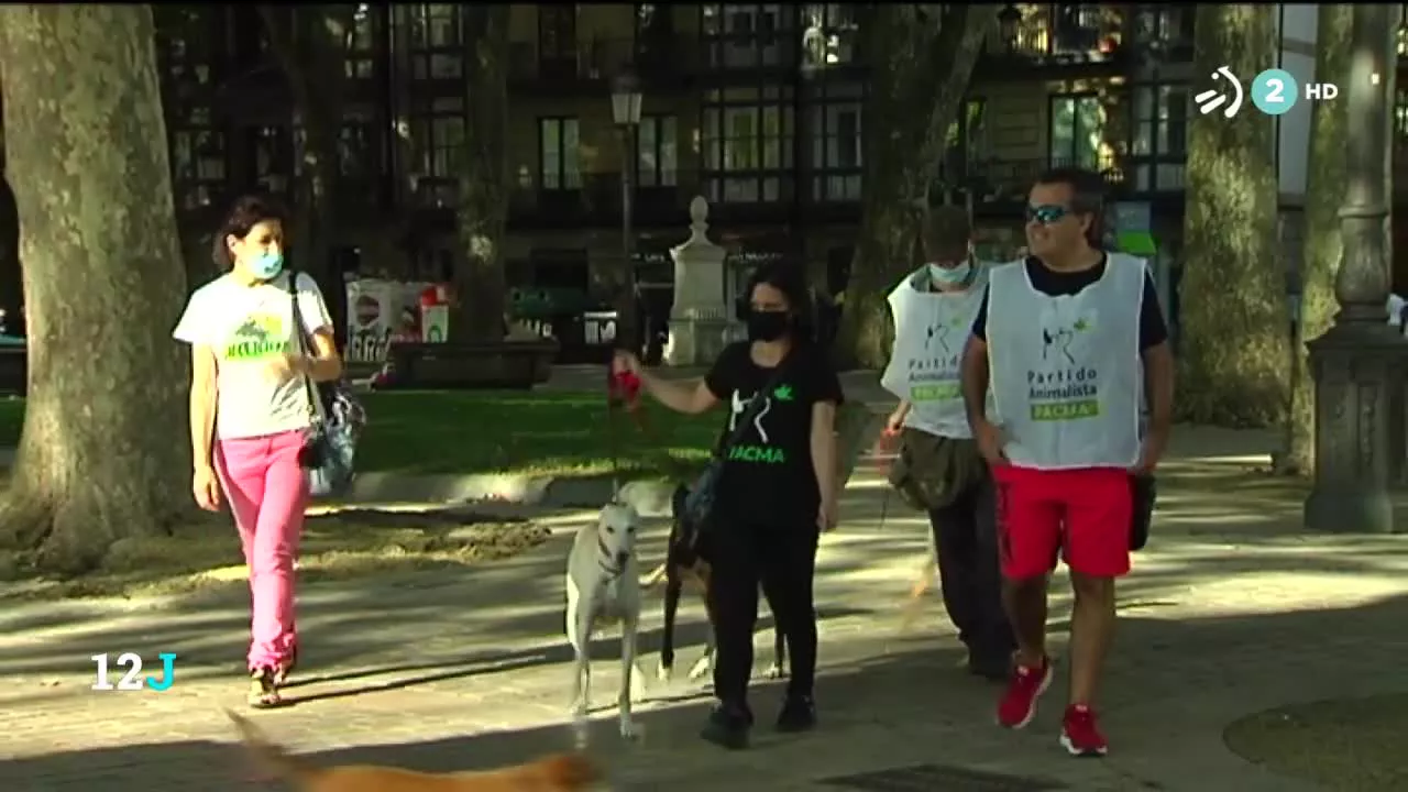 Abogan por reformar la ley de bienestar animal para acabar con determinados espectáculos con animales. También piden a las administraciones públicas una mayor protección del lobo.