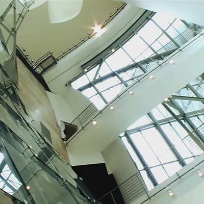 Zer ekarri zuen Frank Gehry arkitektoak Bilbora?