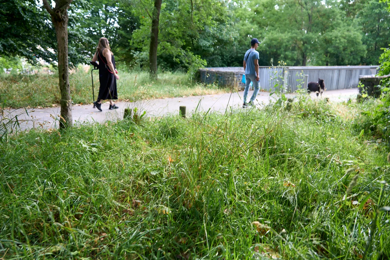 VITORIA, 25/06/2025.- Estado de las zonas verdes del parque de Aranbizkarra de Vitoria este miércoles, jornada en que está convocada una nueva reunión en el PRECO por la huelga indefinida que mantienen desde hace tres meses los trabajadores de la empresa Enviser, adjudicataria del mantenimiento de los jardines y zonas verdes de la capital alavesa. EFE/ L. Rico
