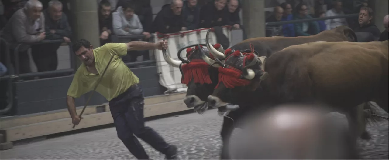 "Idi" Beñat Gerekaren dokumental laburra