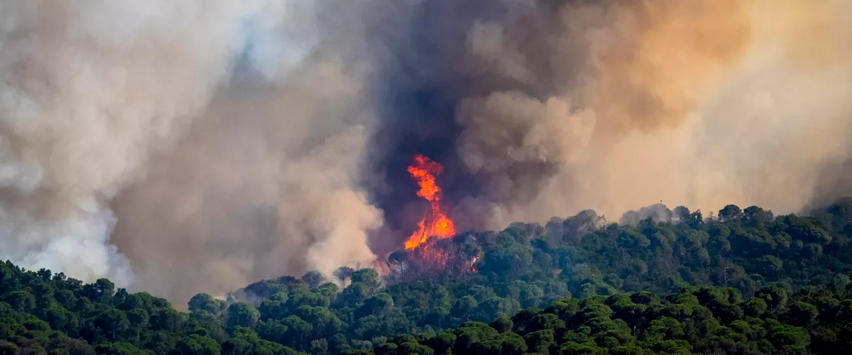 La Bisbal de l'Empordà (Girona), 03/07/2026.-Vista del incendio forestal de La Bisbal de l’Empordà este viernes. El incendio, que ha comenzado esta mañana como consecuencia de unas chispas generadas en unos trabajos agrícolas, avanza sin control avivado por la tramontana y ha quemado unas 750 hectáreas, fuego por el que se ha confinado a unas 12.000 personas en varios municipios de la Costa Brava, en Girona, y contra el que trabajan más de doscientos bomberos.-EFE/David Borrat.
