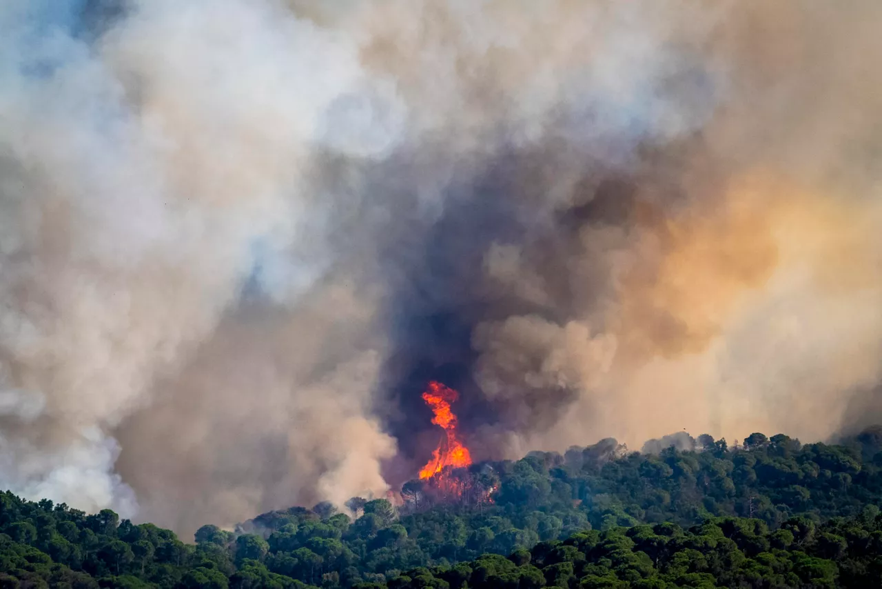 La Bisbal de l'Empordà (Girona), 03/07/2026.-Vista del incendio forestal de La Bisbal de l’Empordà este viernes. El incendio, que ha comenzado esta mañana como consecuencia de unas chispas generadas en unos trabajos agrícolas, avanza sin control avivado por la tramontana y ha quemado unas 750 hectáreas, fuego por el que se ha confinado a unas 12.000 personas en varios municipios de la Costa Brava, en Girona, y contra el que trabajan más de doscientos bomberos.-EFE/David Borrat.
