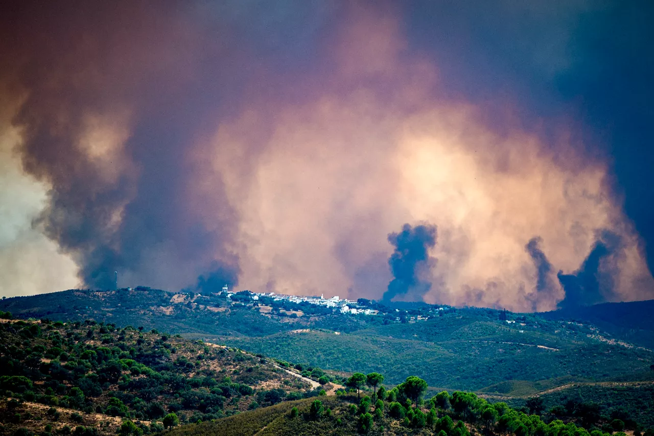 FOTODELDÍA NIEBLA (HUELVA), 09/08/2026.- Vista del incendio de Niebla (Huelva), que ha afectado a más de 4.000 hectáreas y continúa activo este domingo. Las hectáreas afectadas en el incendio de Niebla (Huelva) se han duplicado respecto a ayer y se elevan a 8.000, aunque no todas están quemadas, según el consejero de Presidencia, Sanidad y Emergencias de la Junta de Andalucía, Antonio Sanz. EFE/ Mauri Buhigas
