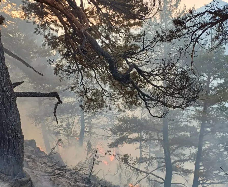 Incendio Urzainqui Navarra