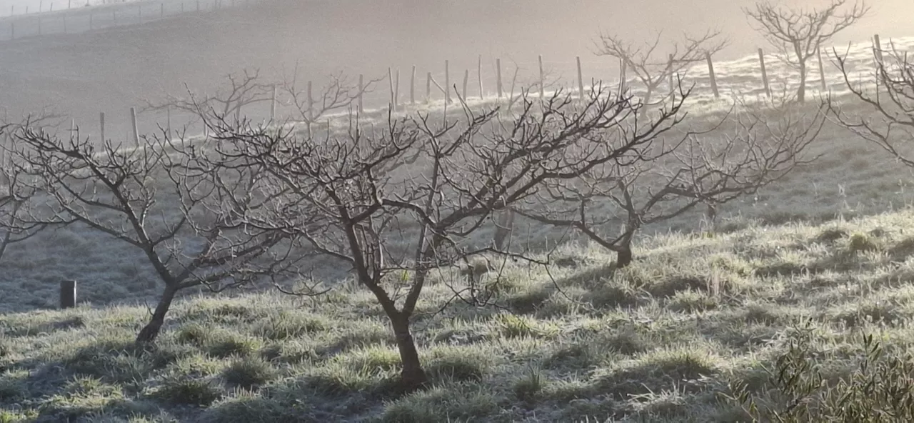 izotza hielo aramaio araba