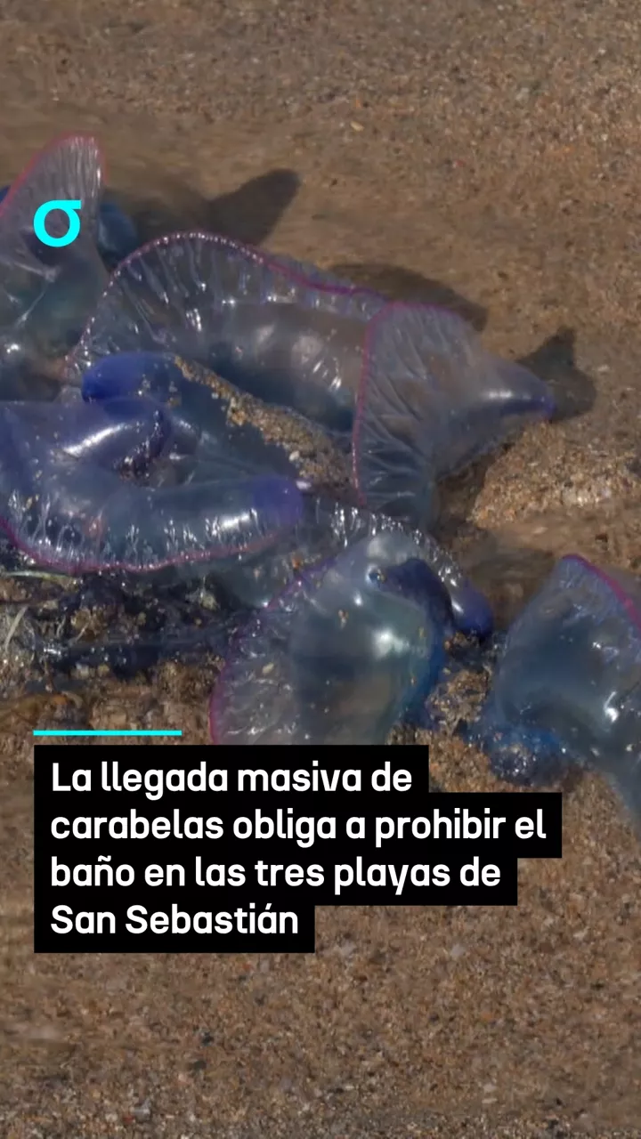 video feed poster