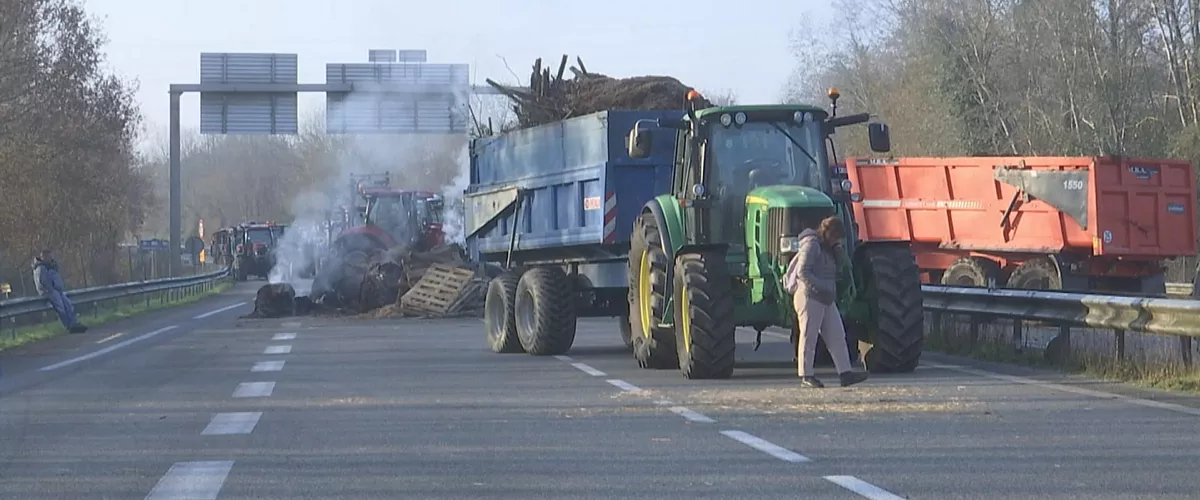 Iparraldeko laborarien protesta traktoreak A63 dermatosi nodularra